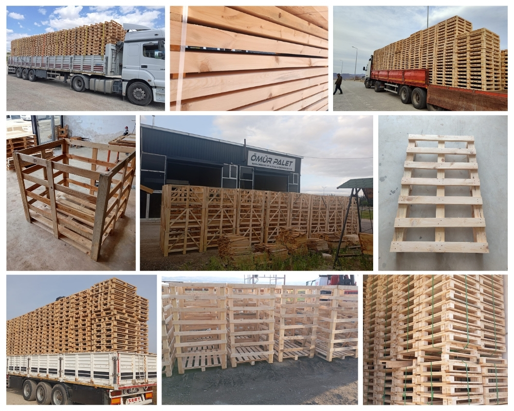 Alkmaar Houten Kisten, Europallets Groothandel Kopen